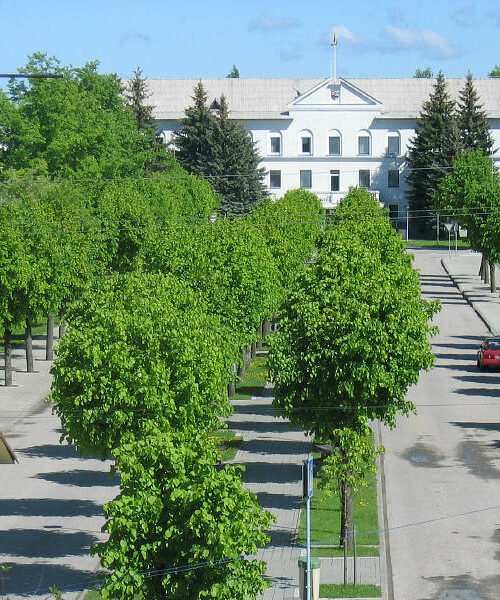 Šakiai